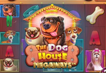 Microgaming - игровой автомат онлайн от Various с RTP 95.51%